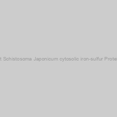 Image of Recombinant Schistosoma Japonicum cytosolic iron-sulfur Protein (aa 1-352)